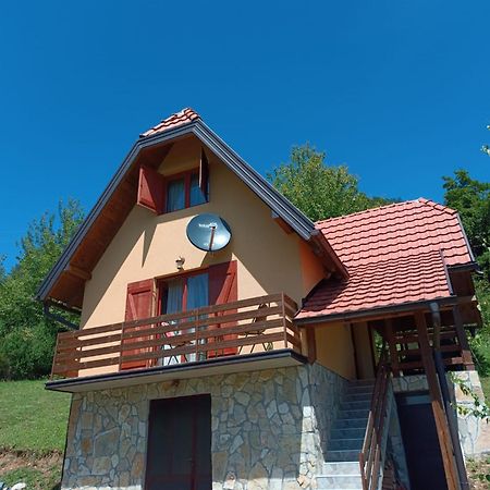 Vila Mitrovic Bajina Basta Zewnętrze zdjęcie